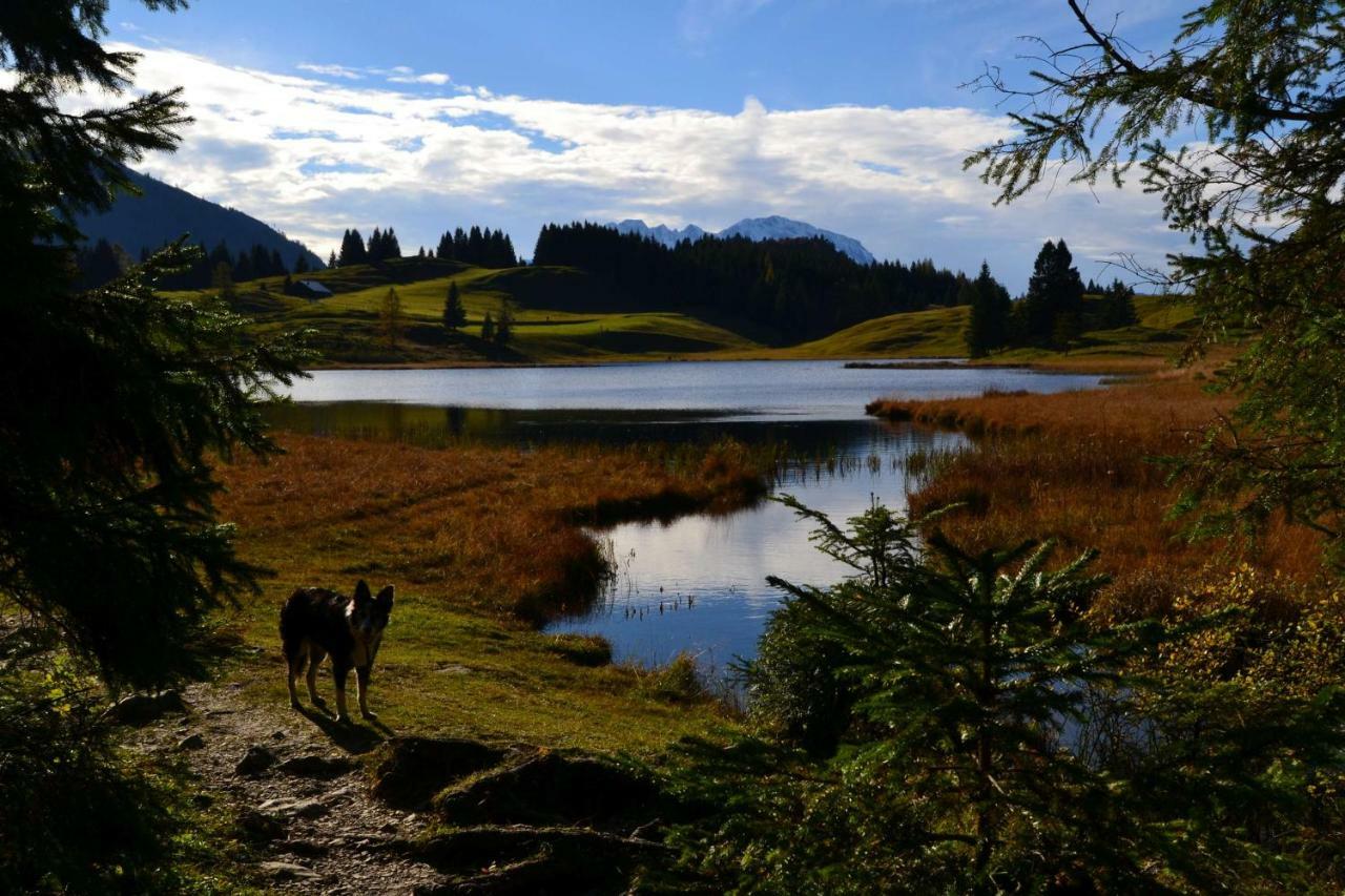 Pension Edelweiss Top21 Gosau Eksteriør bilde